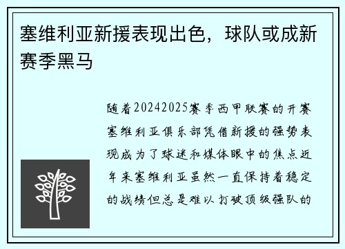 塞维利亚新援表现出色，球队或成新赛季黑马